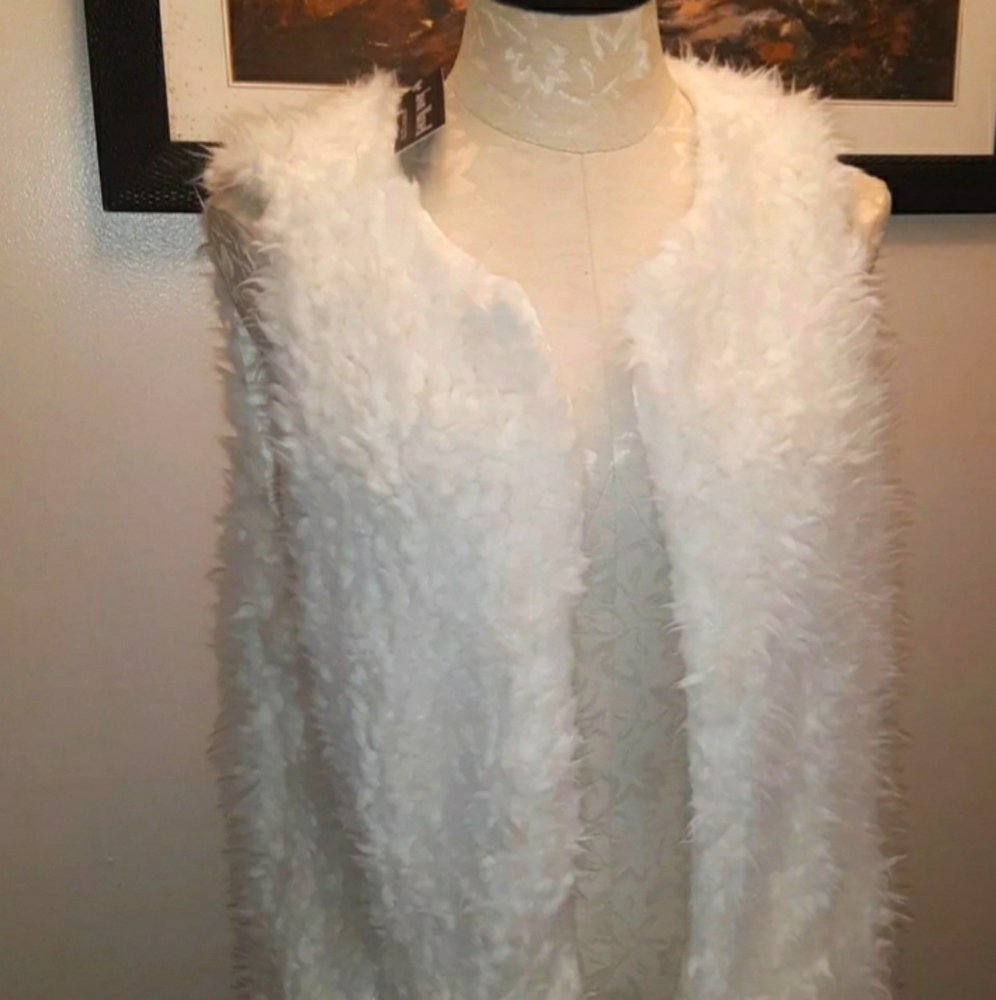 Jason Maxwell Fur Vest